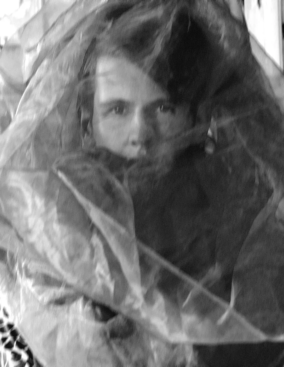 Findin’ La La Land – Shoot by Armando Branco