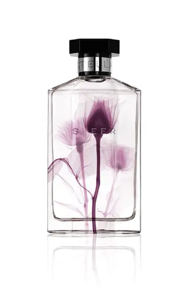 Sheer Stella 2011 – Limited Edition Fragrance from Stella McCartney