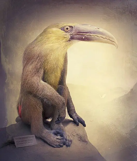 TRIWA Watches & Fredrik Odman