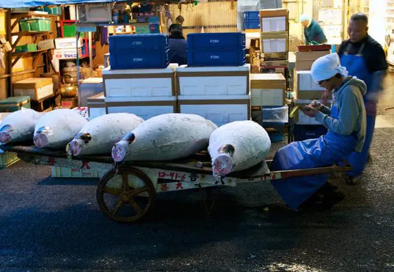 villa tokyo arts festival