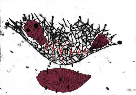 artist and illustrator