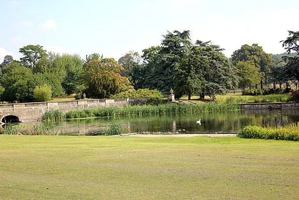 no direction home festival