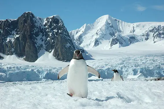 Looking for Adventure? Try a spot of Polar exploration