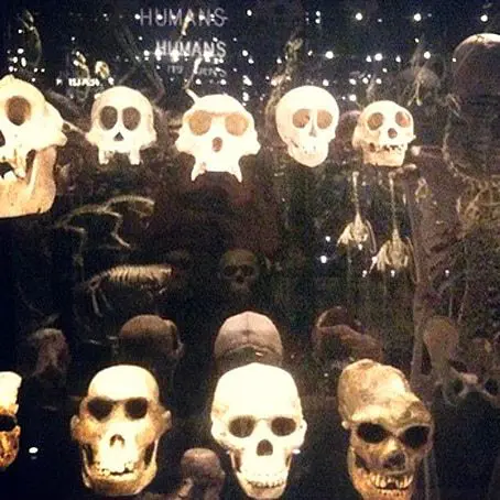 Temple Songs – Music Article & Interview