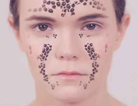 Cell to Cell – Art & Science Collide