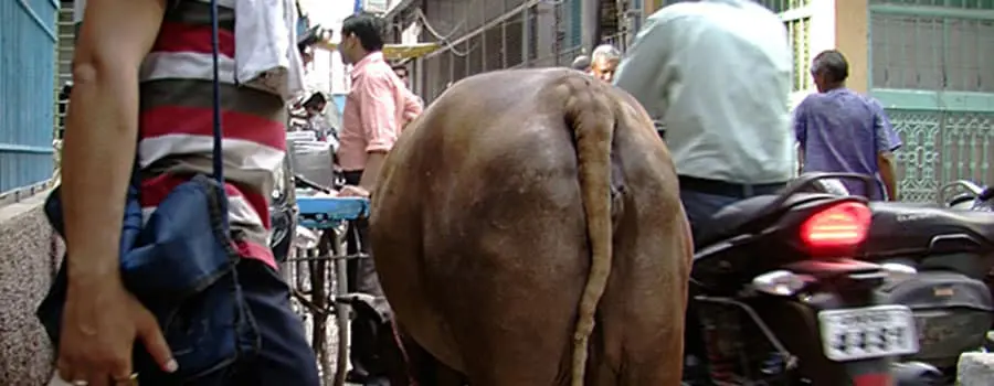 Out of Place – Leung Mee-Ping at the Liverpool Biennial