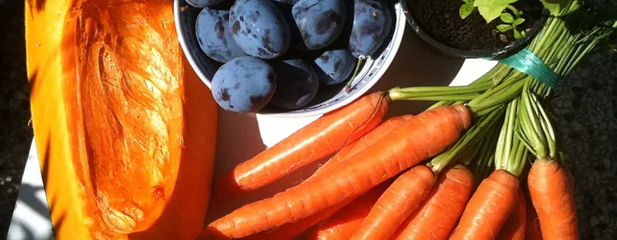 Vegan Cooking in Belgrade, Serbia –  An Idyllic Summer