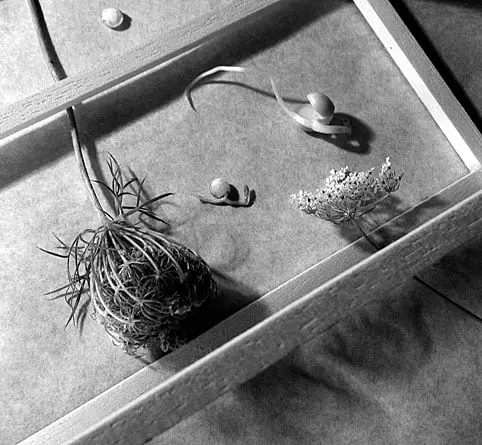 food festival london