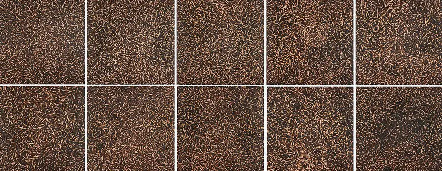 In and Amongst: Tim Davies solo show at FOLD Gallery.