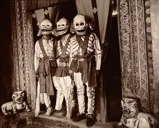 Wellcome Collection culture