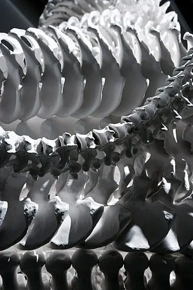 Death exhibition at the Wellcome Collection