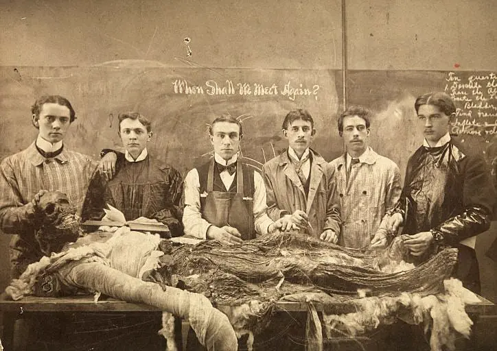 Death exhibition at the Wellcome Collection