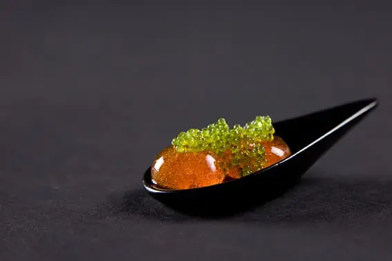 Molecular Gastonomy - Heston Blumenthal