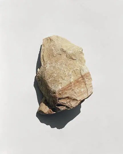 Zed Nelson - Israel Photography Series