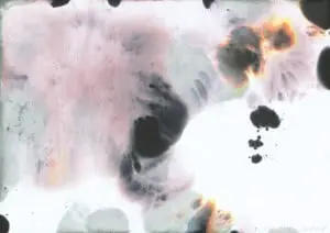 artist Gerhard Richter