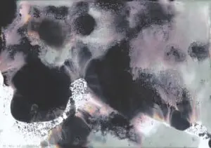 artist Gerhard Richter