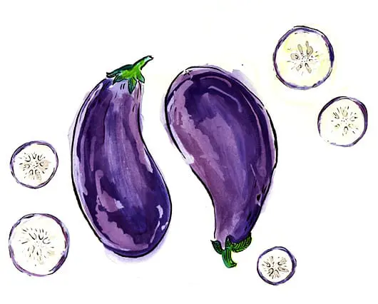 Attempt at Vegetarianism