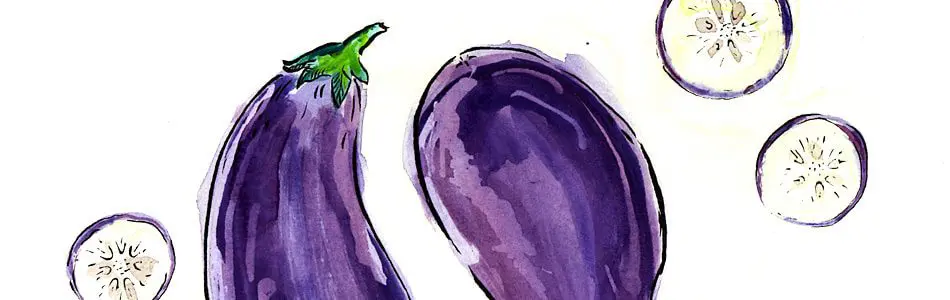 Bye Bye Bacon: An Attempt at Vegetarianism, Part 2