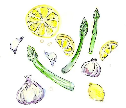 Attempt at Vegetarianism