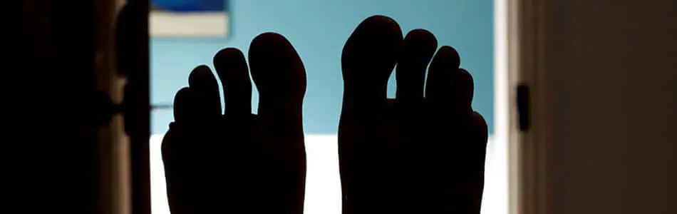 Bedwyr Williams: Wales at the Venice Biennale