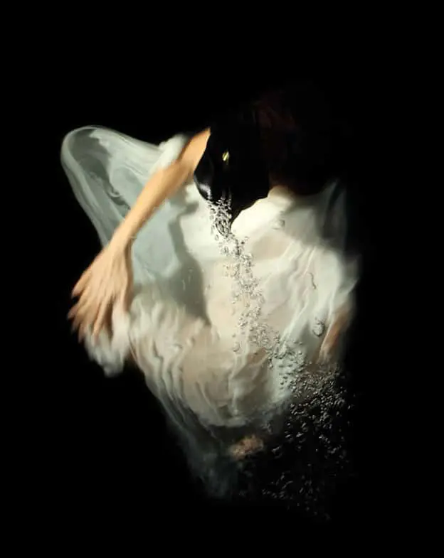 Palmer Harding fashion