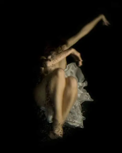 Palmer Harding fashion by Christy Lee Rogers