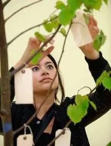 yoko ono manchester international festival