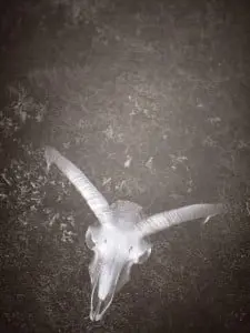 Icelandic Fashion: Huldufolk Iris Stefansdottir