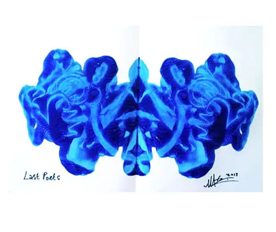 Mediumystic Echoes – The Dark Would, Nine Realms of Dead Poet, Version 1a