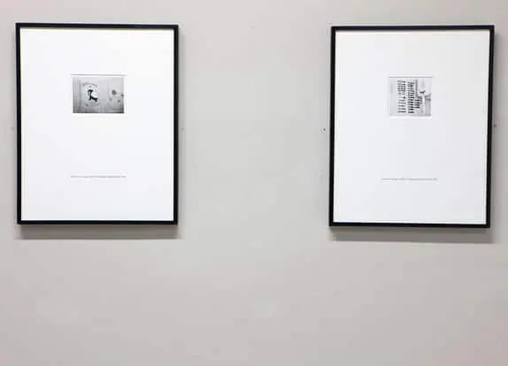 Fiona Banner’s Bollocks and Sperm. the Dark Would Project