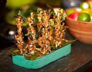 Eat Grubs Edible Insects