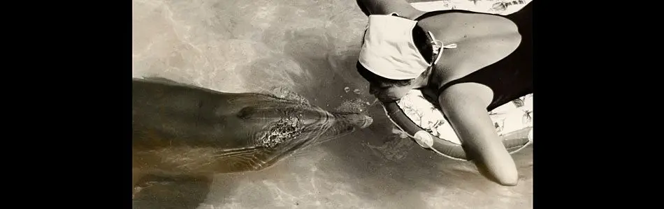 The Girl Who Talked to Dolphins – A BBC film about one revolutionary experiment