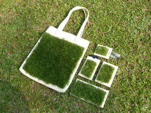 glush - grace - fashion designer