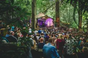 festival no. 6 review