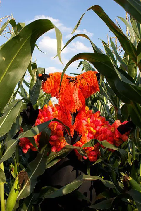 The Garden of Ancient Planes – Conceptual costumes by Anto Christ and Casio Ono