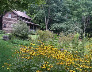 extraordinary places to stay - log cabin