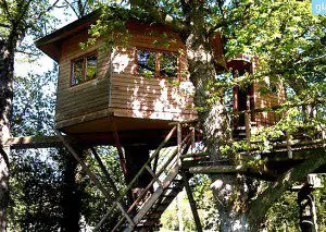 extraordinary places to stay - tree house