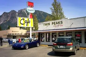 twin peaks returns