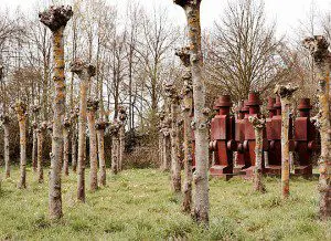 museum island hombroich