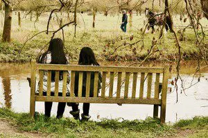 museum island hombroich