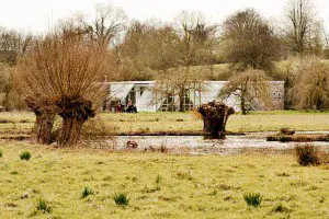 museum island hombroich
