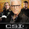 CSI Series 15 DVD boxset, CSI Finale