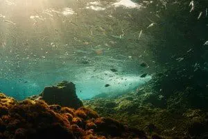 Lucile Hadžihalilović