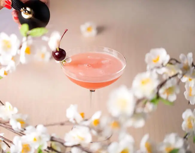 Sakura at Sake No Hana – Chris Zacharia smells the cherry-blossoms