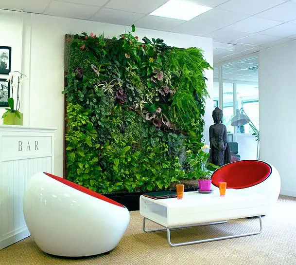 How to become a compact gardener