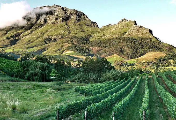 Holiday in South Africa – visiting South African wine regions