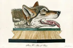 Manchester exhibition