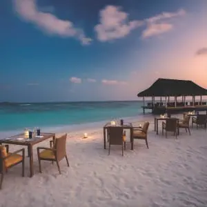 Diving in the Maldives