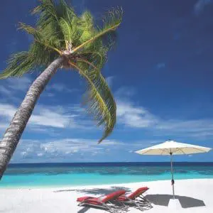 Diving in the Maldives