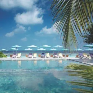 Diving in the Maldives